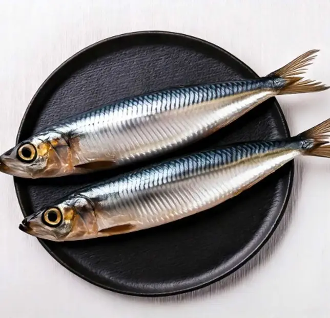 イワシの旬や釣り方、捌き方について