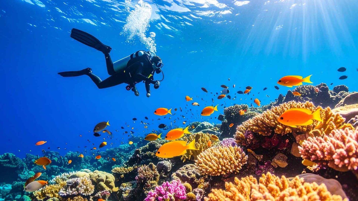 【初心者向け】ダイビングを始めるには？海の魅力を安全に楽しむための第一歩